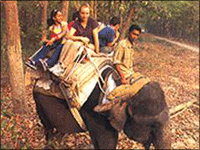 Falcon Tours and Travels