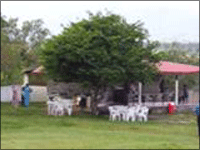 Falcon Tours and Travels