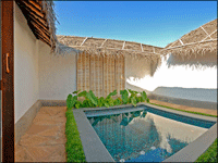 Falcon Tours and Travels