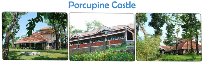 Eco Friendly Resorts