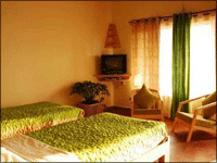 Falcon Tours and Travels