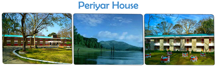 Eco Friendly Resorts