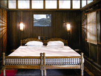 Falcon Tours and Travels