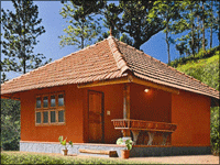 Falcon Tours and Travels