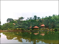 Falcon Tours and Travels