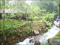 Falcon Tours and Travels