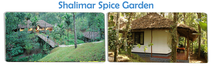 Eco Friendly Resorts