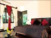 Falcon Tours and Travels