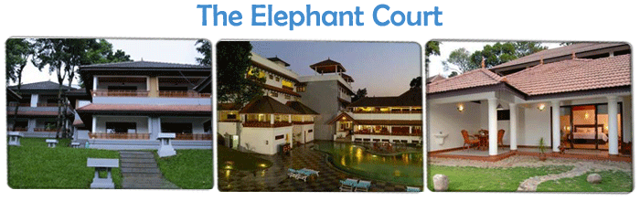 Eco Friendly Resorts