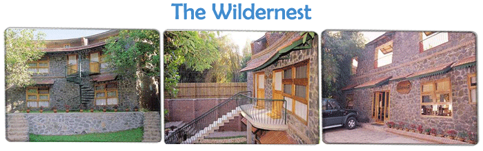 Eco Friendly Resorts