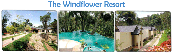 Eco Friendly Resorts