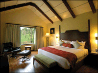 Falcon Tours and Travels