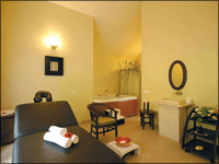 Falcon Tours and Travels