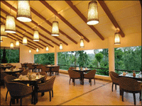 Falcon Tours and Travels