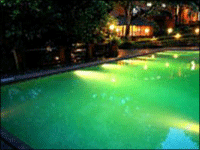 Falcon Tours and Travels