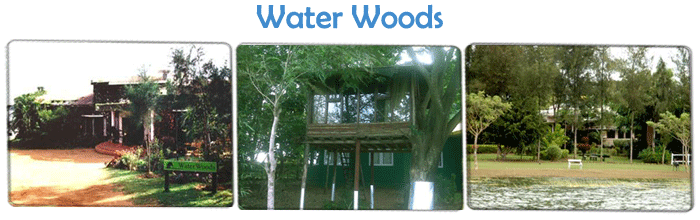 Eco Friendly Resorts