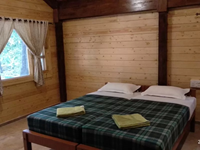 Falcon Tours and Travels