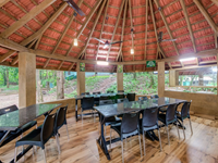 Falcon Tours and Travels