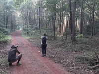 Falcon Tours and Travels