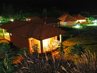 Falcon Tours and Travels