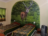 Falcon Tours and Travels