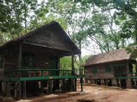 Falcon Tours and Travels