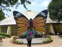 Falcon Tours and Travels