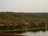 Falcon Tours and Travels