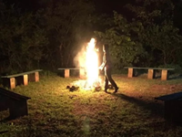 Falcon Tours and Travels