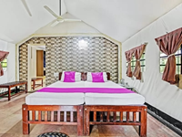 Falcon Tours and Travels