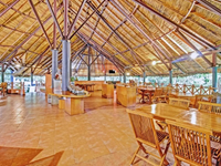 Falcon Tours and Travels