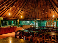 Falcon Tours and Travels