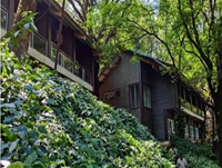 Falcon Tours and Travels