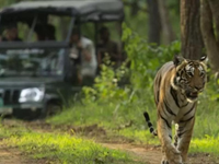 Falcon Tours and Travels