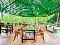 Falcon Tours and Travels