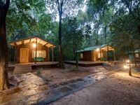 Falcon Tours and Travels