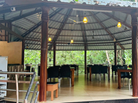 Falcon Tours and Travels