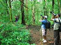 Falcon Tours and Travels