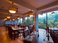 Falcon Tours and Travels