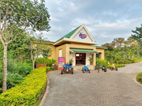 Falcon Tours and Travels