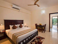 Falcon Tours and Travels