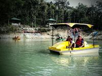 Falcon Tours and Travels