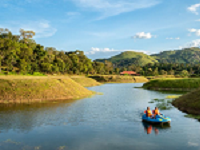 Falcon Tours and Travels