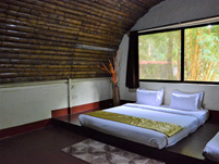 Falcon Tours and Travels