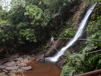 Falcon Tours and Travels