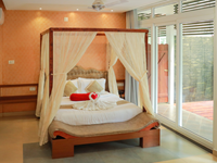 Falcon Tours and Travels