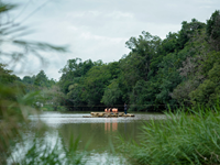 Falcon Tours and Travels