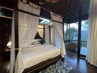 Falcon Tours and Travels