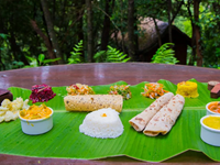 Falcon Tours and Travels