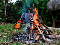 Falcon Tours and Travels